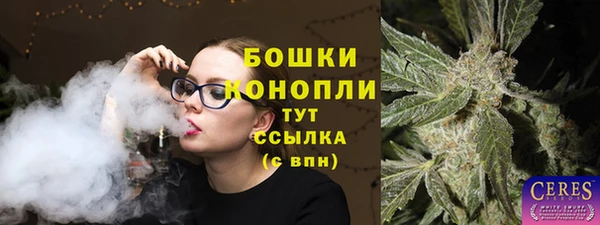 стафф Краснотурьинск