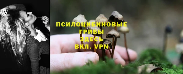 прущая мука Краснослободск