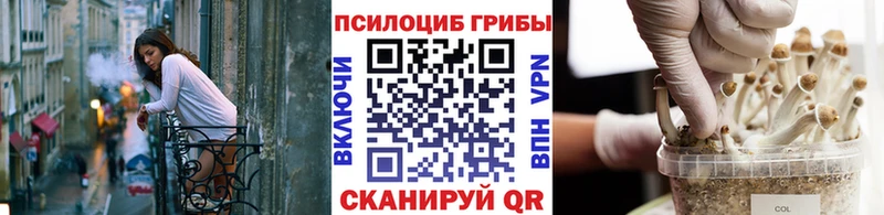Галлюциногенные грибы Cubensis OMG рабочий сайт Мантурово